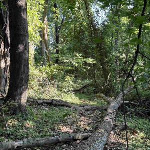 Photo #13 of TBD WHISPERING LN, STANLEY, VA 1.6 acres