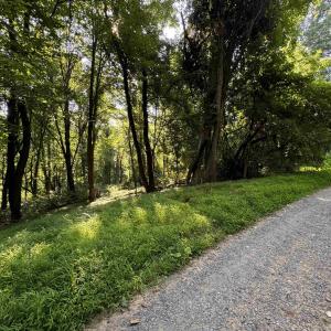 Photo #5 of TBD WHISPERING LN, STANLEY, VA 1.6 acres