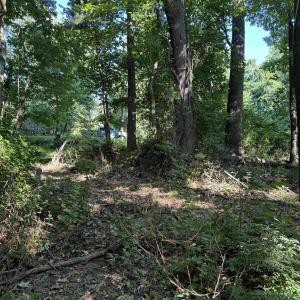 Photo #11 of TBD WHISPERING LN, STANLEY, VA 1.6 acres
