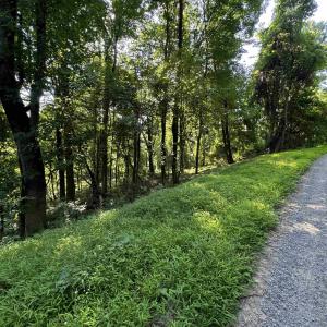 Photo #3 of TBD WHISPERING LN, STANLEY, VA 1.6 acres