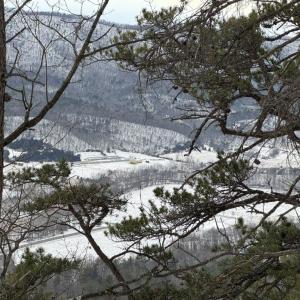 Photo #25 of CHURCH MOUNTAIN LN, FULKS RUN, VA 289.0 acres