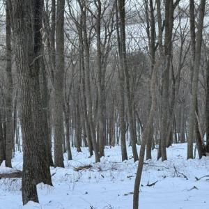 Photo #37 of CHURCH MOUNTAIN LN, FULKS RUN, VA 289.0 acres