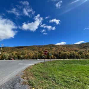 Photo #3 of CHURCH MOUNTAIN LN, FULKS RUN, VA 289.0 acres