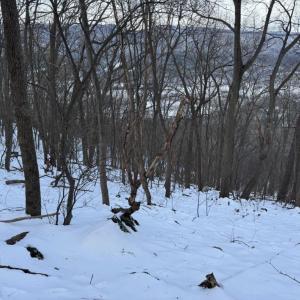 Photo #13 of CHURCH MOUNTAIN LN, FULKS RUN, VA 289.0 acres
