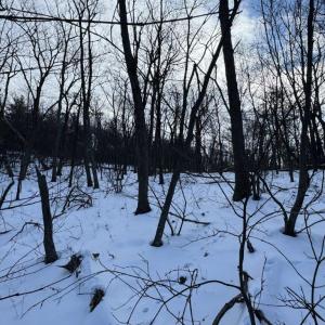 Photo #30 of CHURCH MOUNTAIN LN, FULKS RUN, VA 289.0 acres