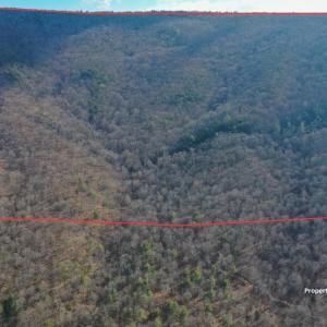 Photo #1 of CHURCH MOUNTAIN LN, FULKS RUN, VA 289.0 acres
