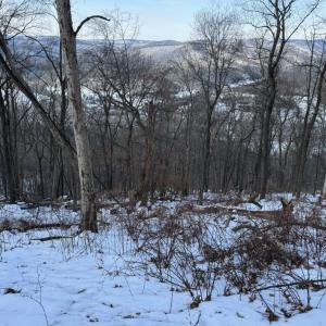 Photo #14 of CHURCH MOUNTAIN LN, FULKS RUN, VA 289.0 acres