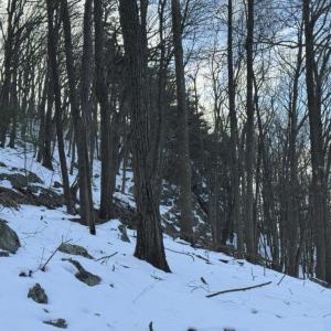 Photo #35 of CHURCH MOUNTAIN LN, FULKS RUN, VA 289.0 acres