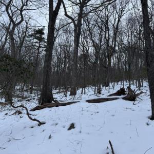 Photo #27 of CHURCH MOUNTAIN LN, FULKS RUN, VA 289.0 acres