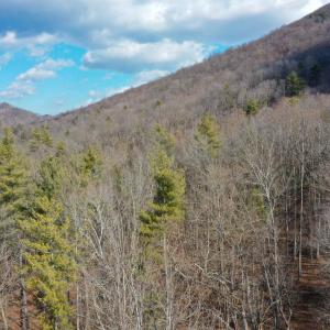 Photo #17 of CHURCH MOUNTAIN LN, FULKS RUN, VA 289.0 acres