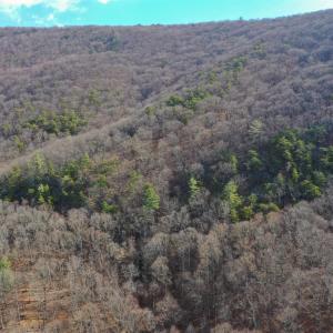 Photo #10 of CHURCH MOUNTAIN LN, FULKS RUN, VA 289.0 acres