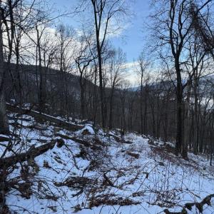 Photo #39 of CHURCH MOUNTAIN LN, FULKS RUN, VA 289.0 acres