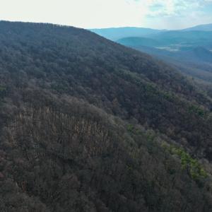 Photo #8 of CHURCH MOUNTAIN LN, FULKS RUN, VA 289.0 acres