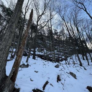 Photo #38 of CHURCH MOUNTAIN LN, FULKS RUN, VA 289.0 acres
