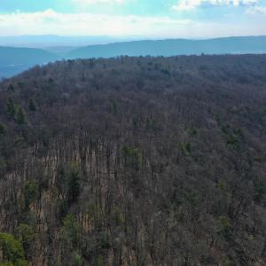 Photo #5 of CHURCH MOUNTAIN LN, FULKS RUN, VA 289.0 acres