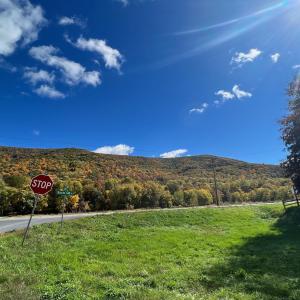 Photo #42 of CHURCH MOUNTAIN LN, FULKS RUN, VA 289.0 acres