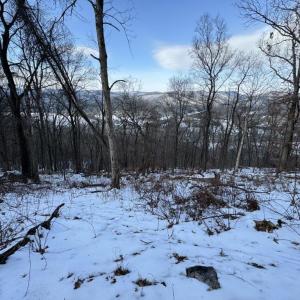 Photo #12 of CHURCH MOUNTAIN LN, FULKS RUN, VA 289.0 acres