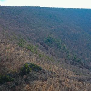 Photo #11 of CHURCH MOUNTAIN LN, FULKS RUN, VA 289.0 acres