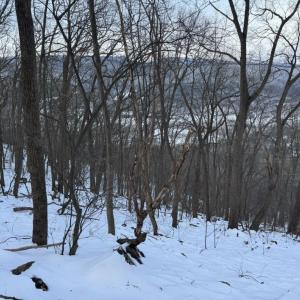 Photo #31 of CHURCH MOUNTAIN LN, FULKS RUN, VA 289.0 acres