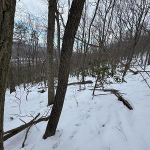 Photo #28 of CHURCH MOUNTAIN LN, FULKS RUN, VA 289.0 acres