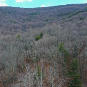Photo #16 of CHURCH MOUNTAIN LN, FULKS RUN, VA 289.0 acres