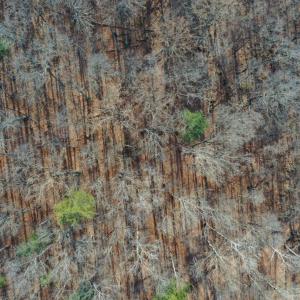 Photo #20 of CHURCH MOUNTAIN LN, FULKS RUN, VA 289.0 acres