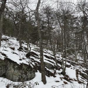 Photo #15 of CHURCH MOUNTAIN LN, FULKS RUN, VA 289.0 acres