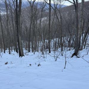 Photo #34 of CHURCH MOUNTAIN LN, FULKS RUN, VA 289.0 acres