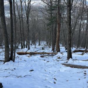 Photo #40 of CHURCH MOUNTAIN LN, FULKS RUN, VA 289.0 acres