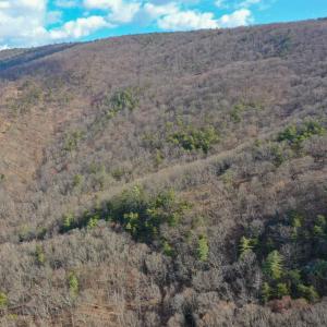 Photo #4 of CHURCH MOUNTAIN LN, FULKS RUN, VA 289.0 acres