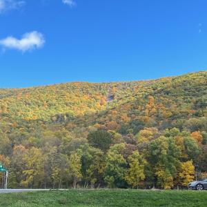 Photo #2 of CHURCH MOUNTAIN LN, FULKS RUN, VA 289.0 acres