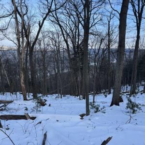 Photo #29 of CHURCH MOUNTAIN LN, FULKS RUN, VA 289.0 acres