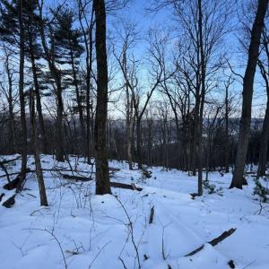 Photo #6 of CHURCH MOUNTAIN LN, FULKS RUN, VA 289.0 acres