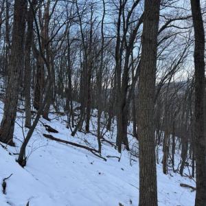 Photo #33 of CHURCH MOUNTAIN LN, FULKS RUN, VA 289.0 acres