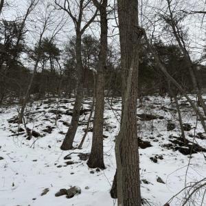 Photo #24 of CHURCH MOUNTAIN LN, FULKS RUN, VA 289.0 acres