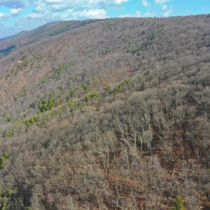 Photo #9 of CHURCH MOUNTAIN LN, FULKS RUN, VA 289.0 acres