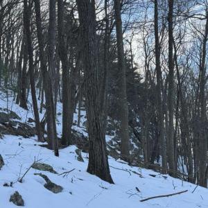 Photo #36 of CHURCH MOUNTAIN LN, FULKS RUN, VA 289.0 acres