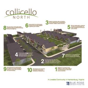 Photo #6 of 919 COLLICELLO ST, HARRISONBURG, VA 3.1 acres