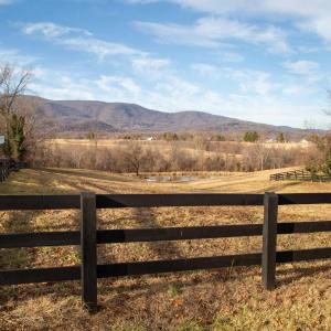 Photo #43 of SADDLE HOLLOW RD, CROZET, VA 287.1 acres