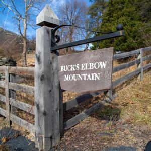 Photo #3 of SADDLE HOLLOW RD, CROZET, VA 287.1 acres