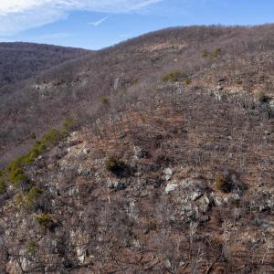 Photo #22 of SADDLE HOLLOW RD, CROZET, VA 287.1 acres