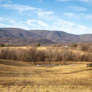 Photo #41 of SADDLE HOLLOW RD, CROZET, VA 287.1 acres