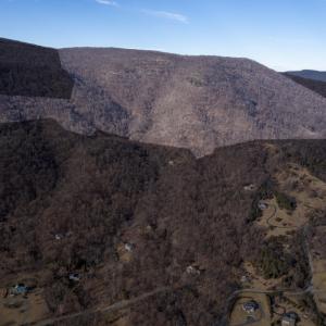 Photo #4 of SADDLE HOLLOW RD, CROZET, VA 287.1 acres