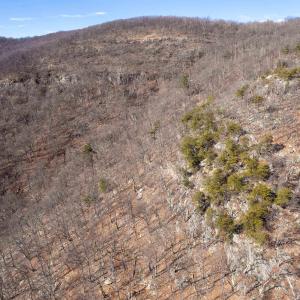 Photo #18 of SADDLE HOLLOW RD, CROZET, VA 287.1 acres