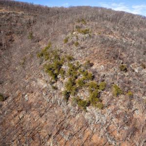 Photo #35 of SADDLE HOLLOW RD, CROZET, VA 287.1 acres