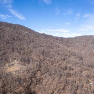 Photo #32 of SADDLE HOLLOW RD, CROZET, VA 287.1 acres