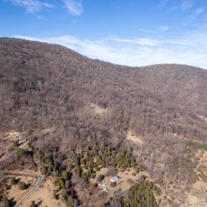 Photo #24 of SADDLE HOLLOW RD, CROZET, VA 287.1 acres
