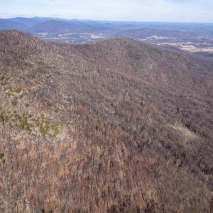 Photo #16 of SADDLE HOLLOW RD, CROZET, VA 287.1 acres
