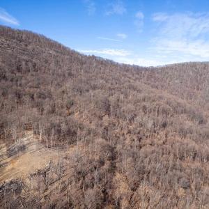 Photo #33 of SADDLE HOLLOW RD, CROZET, VA 287.1 acres