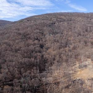 Photo #30 of SADDLE HOLLOW RD, CROZET, VA 287.1 acres